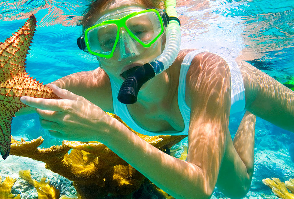 SNORKEL EN LA ISLA DE TABARCA PARA DESPEDIDAS Incluye: